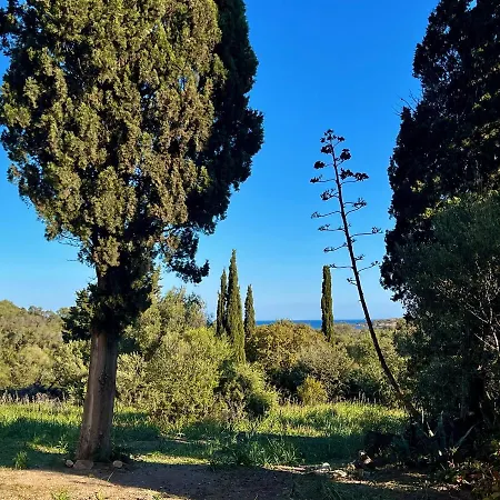 La Maison Salee - Ostriconi Σπίτι διακοπών Palasca (Corsica)